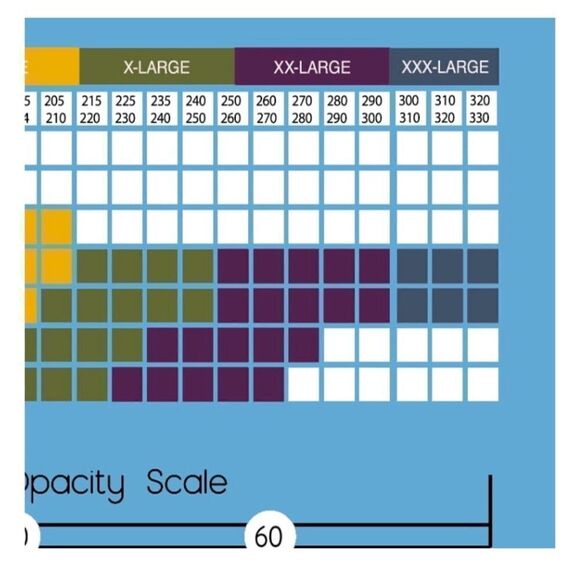 Silk Impressions Sheer to Waist Pantyhose Nylon Sock 2, 4-Packs Size XXL - Picture 8 of 8